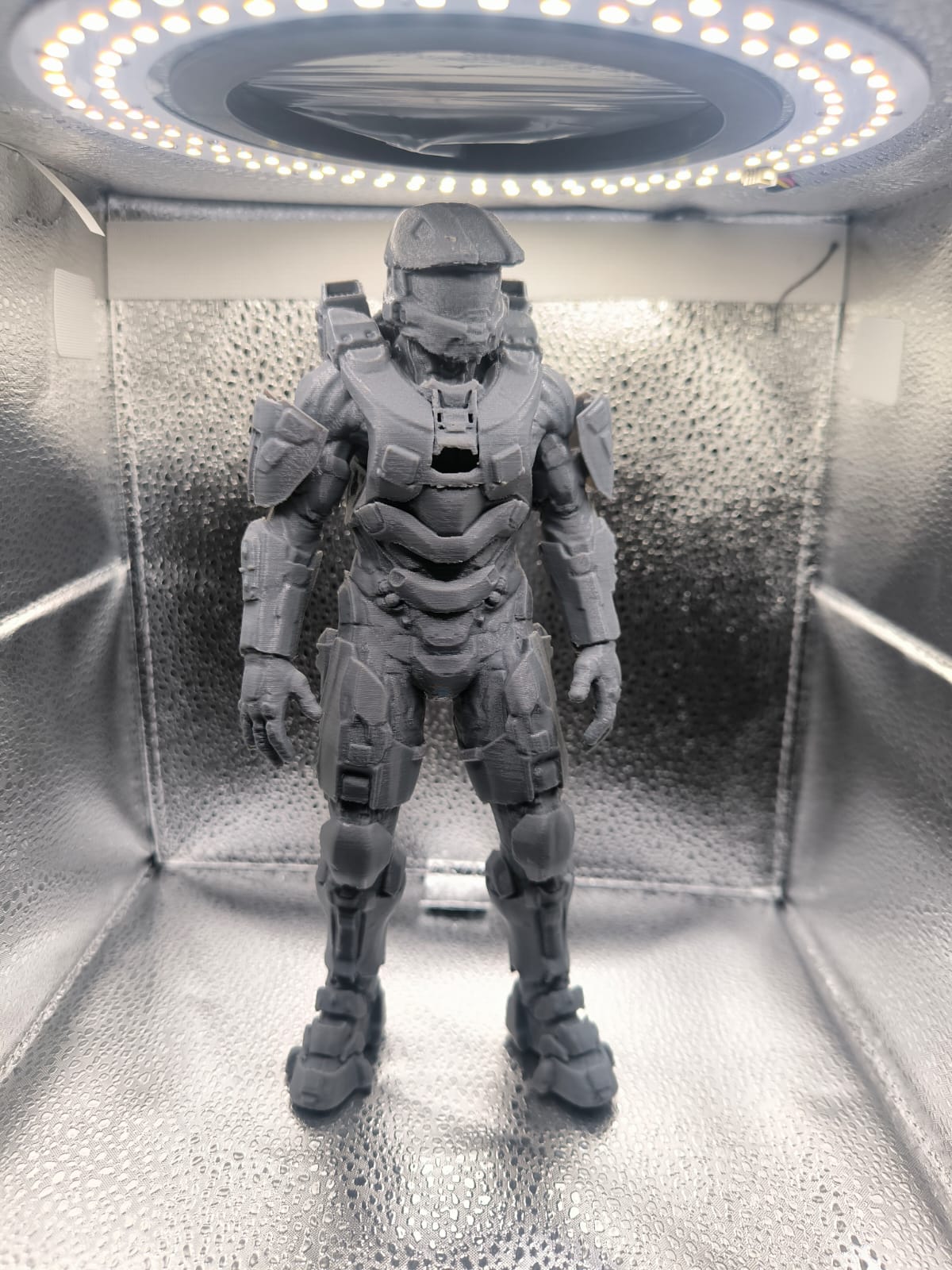 Modelo impreso en 3D